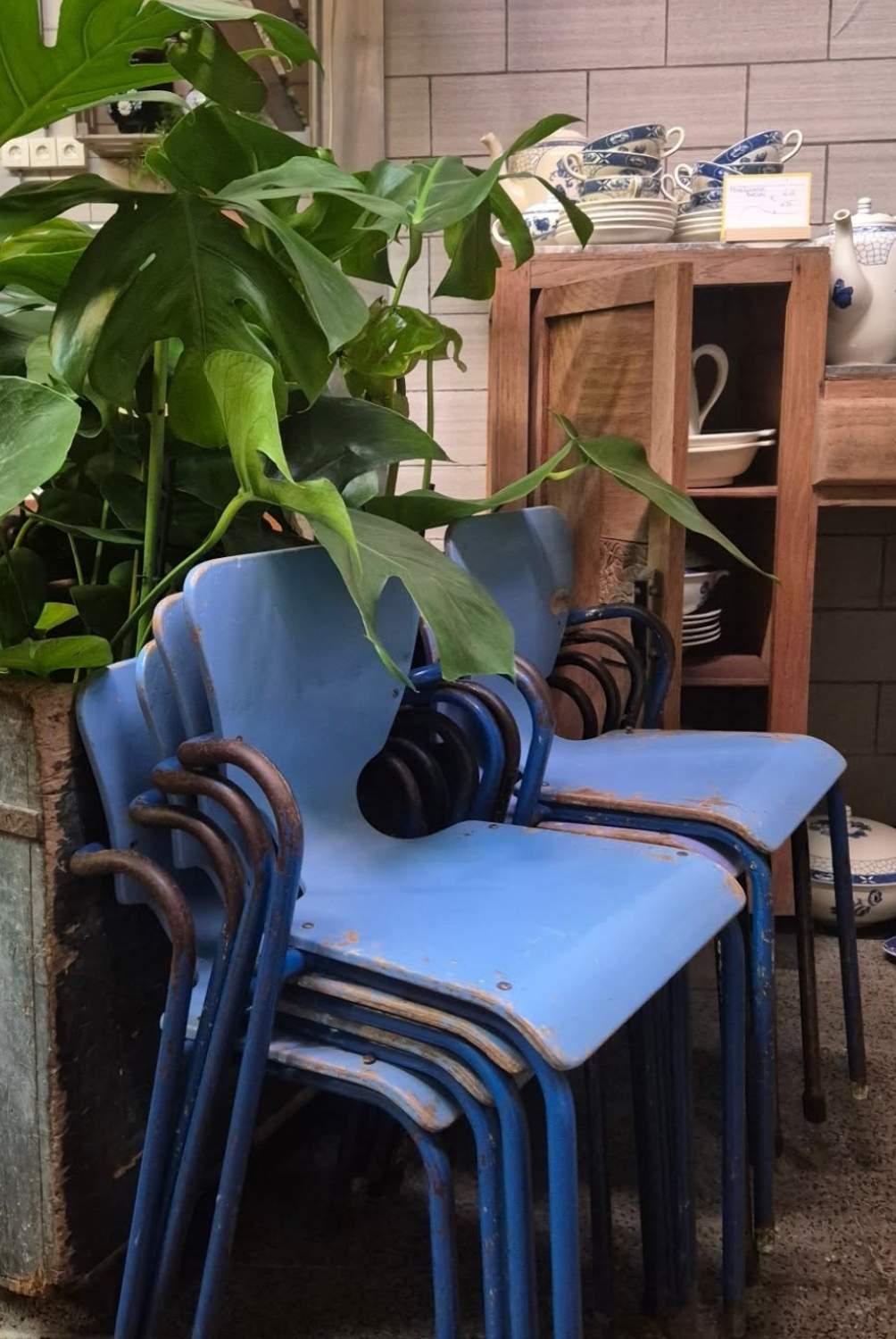 Foto met dank aan De Dikke Ziel Foto met dank aan De Dikke Ziel