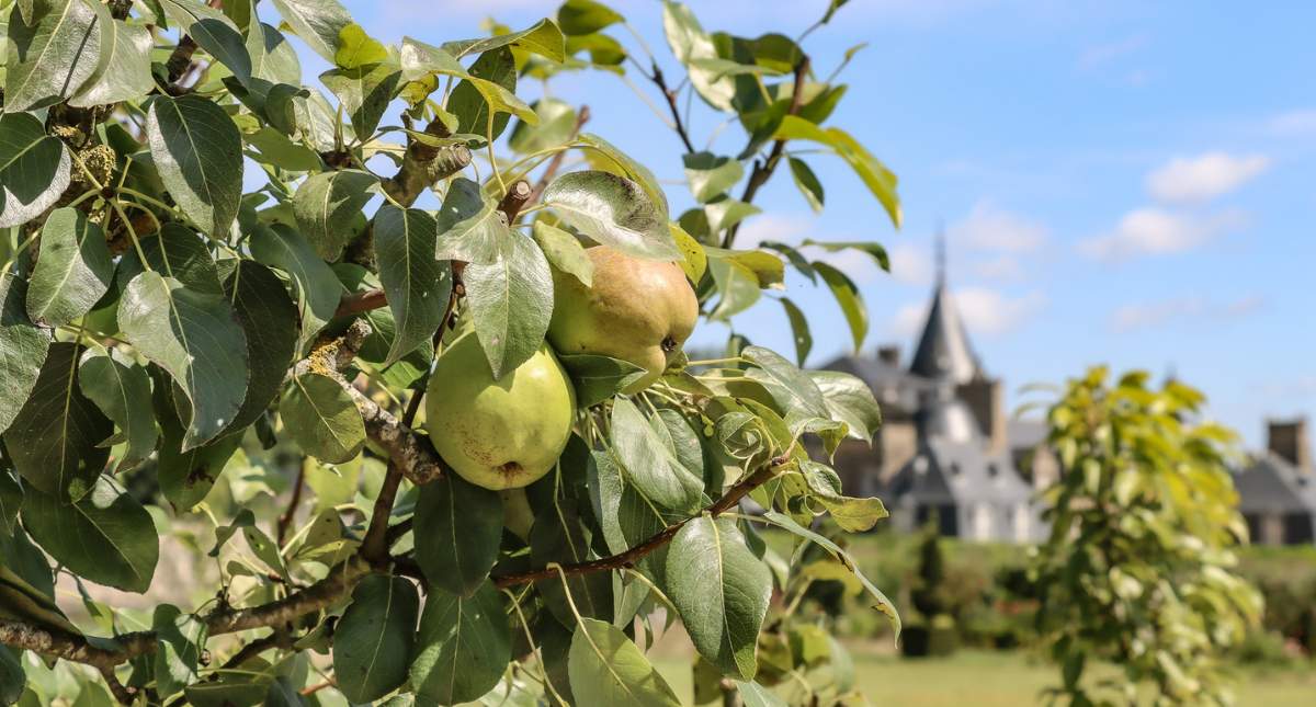 Bezienswaardigheden Bretagne: Zoo & Château de La Bourbansais | Mooistestedentrips.nl