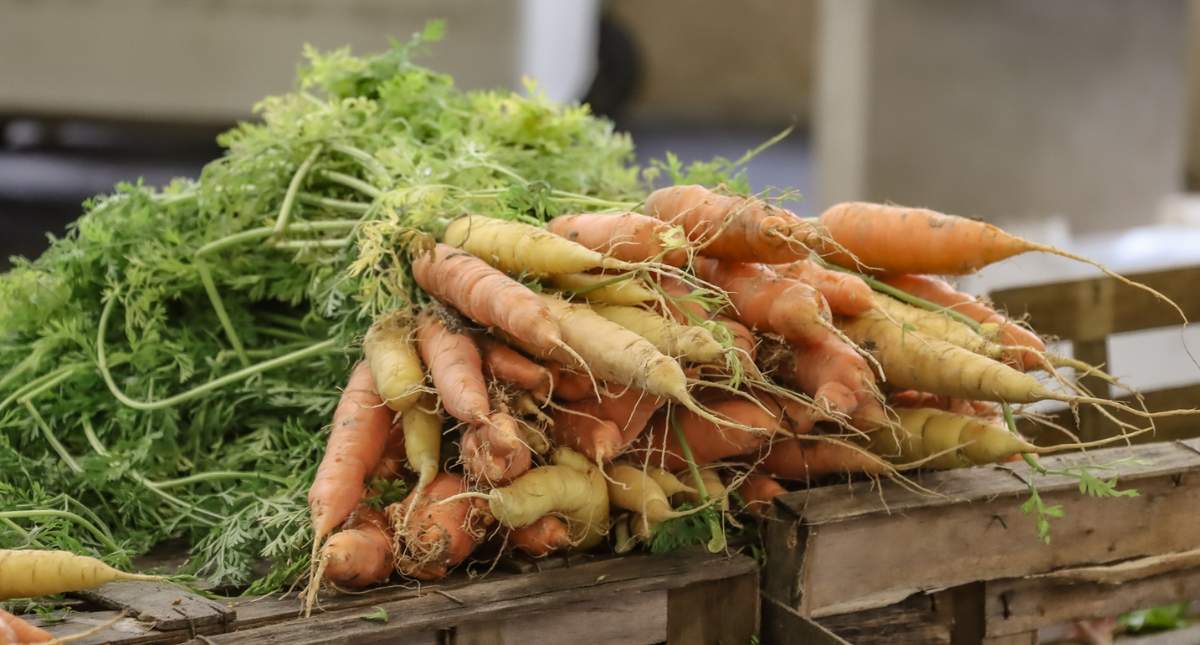 Bezienswaardigheden Saint-Malo: Marché la Halle au Blé | Mooistestedentrips.nl