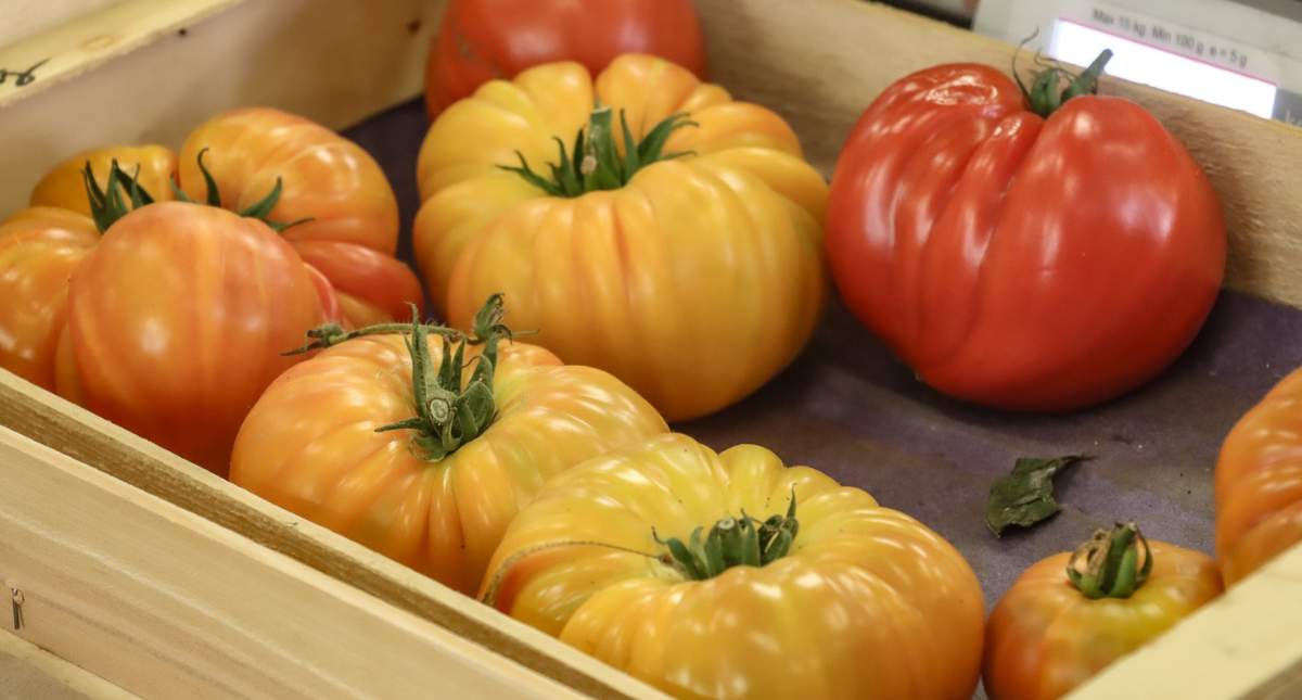 Bezienswaardigheden Saint-Malo: Marché la Halle au Blé | Mooistestedentrips.nl