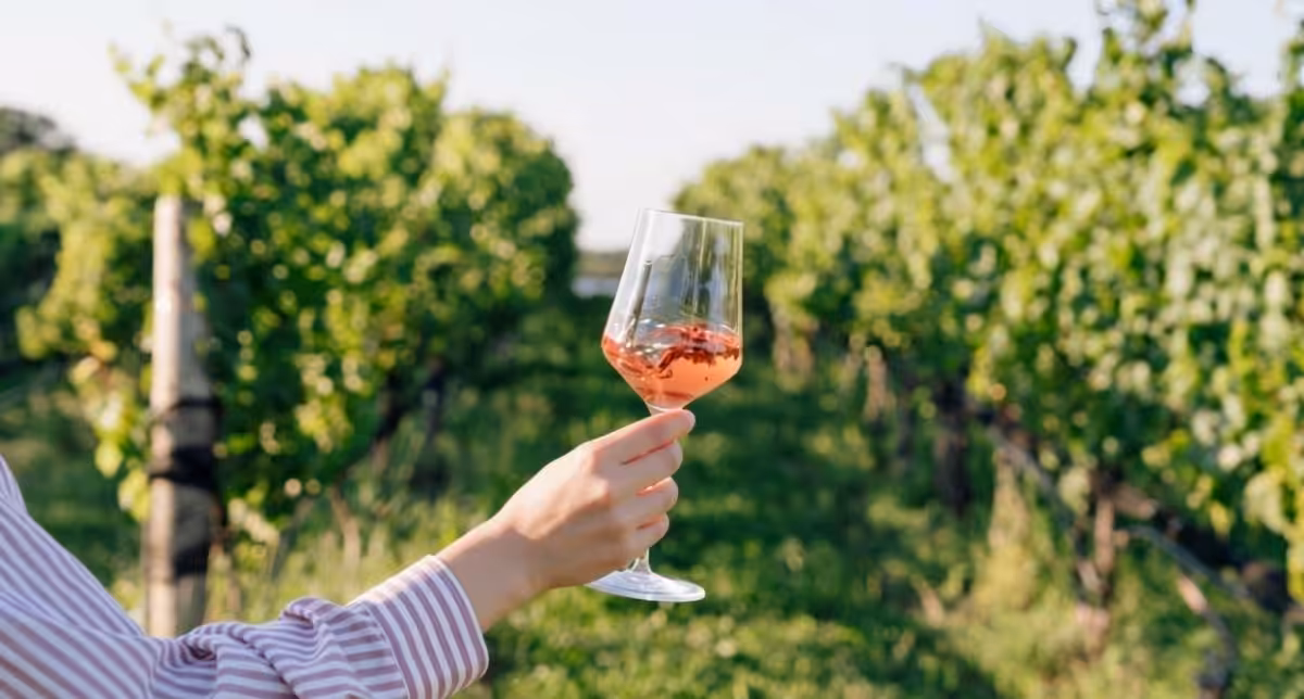Wijngaarden Niagara-on-the-Lake: Ravine Vineyard Estate Winery (foto: Barb Simkova)
