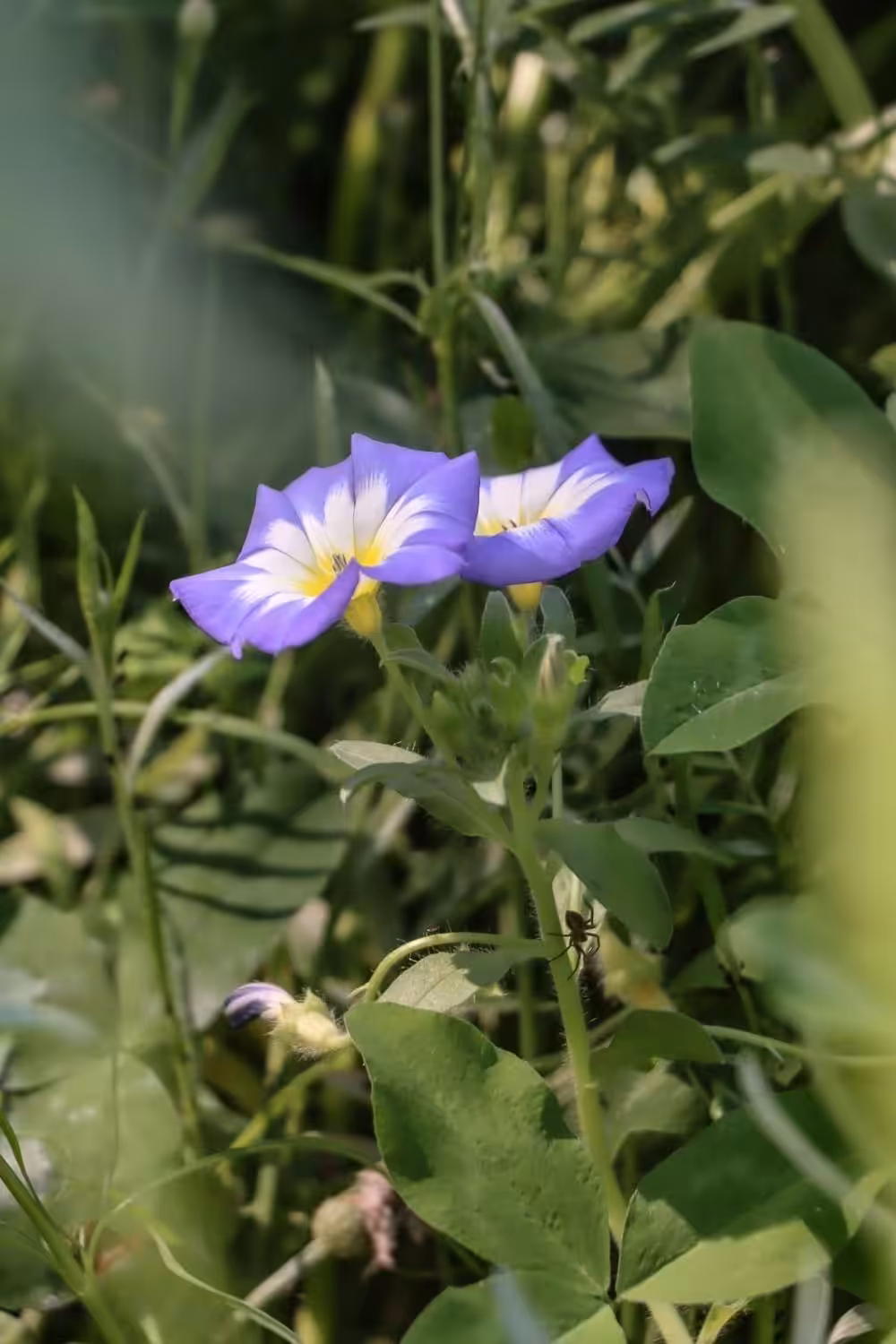 Wroclaw, Polen: de mooiste bezienswaardigheden in Wroclaw | Mooistestedentrips.nl