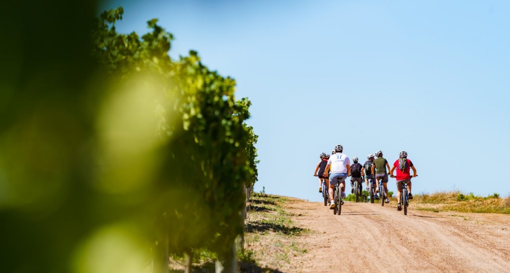 Fietsen in Stellenbosch, foto met dank aan Bikes 'n Wines