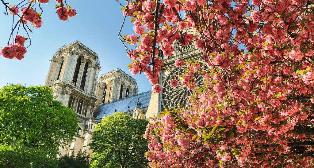 Wat te doen in Parijs? Cathédrale Notre Dame de Paris | Mooistestedentrips.nl