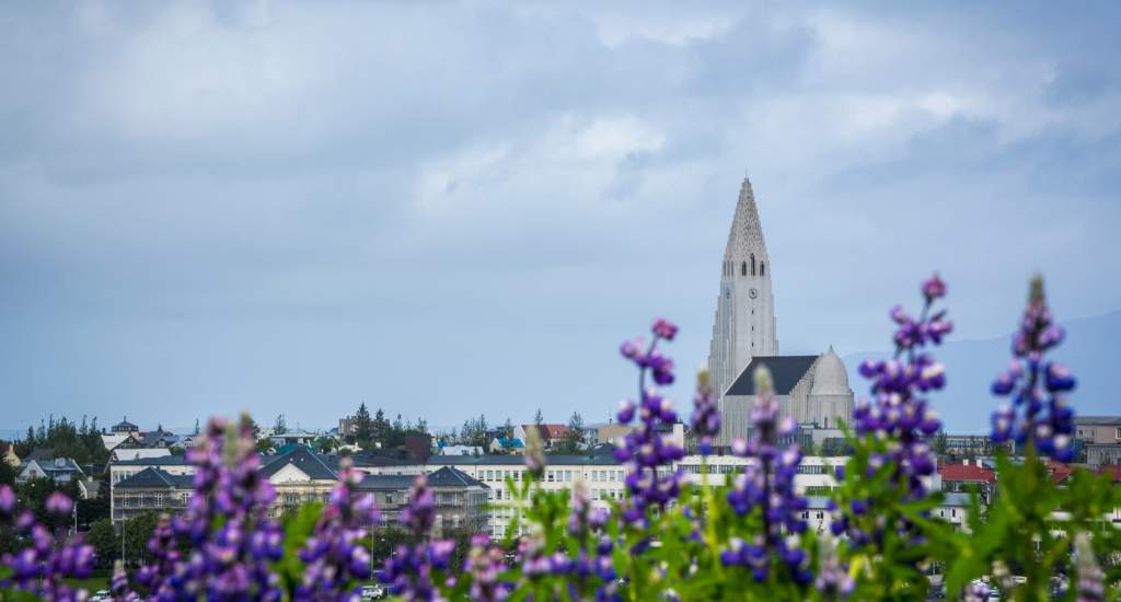 Reykjavik, IJsland: wat te doen in Reykjavik? Ontdek de mooiste bezienswaardigheden in Reykjavik | Mooistestedentrips.nl