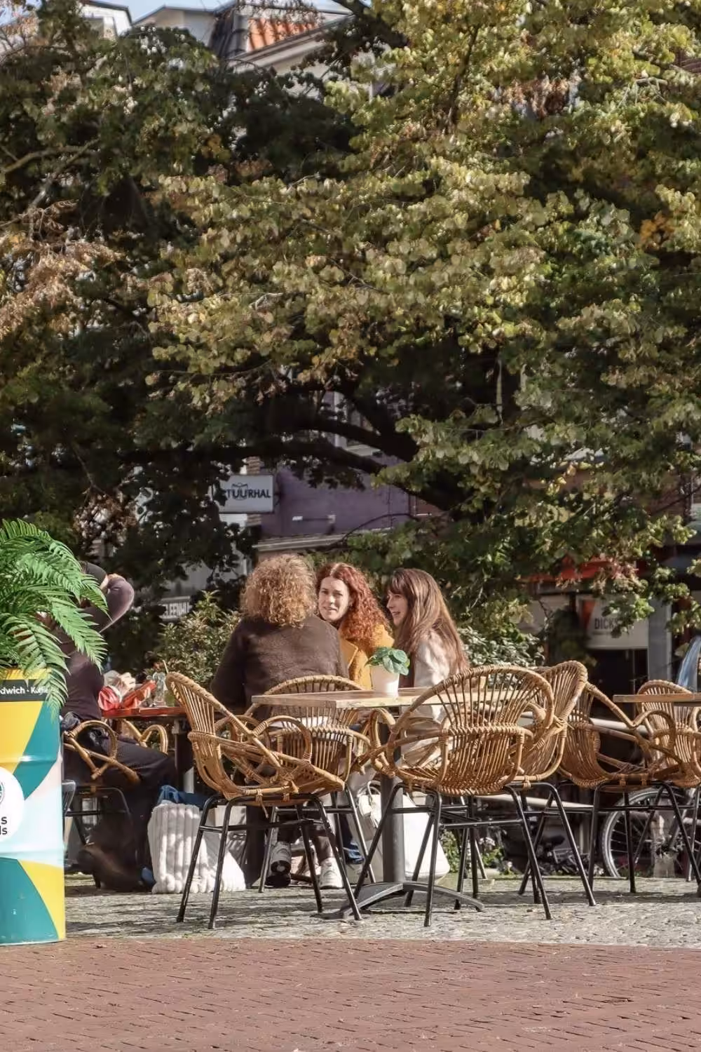 Wat te doen in Leeuwarden, de leukste bezienswaardigheden Leeuwarden | Mooistestedentrips.nl