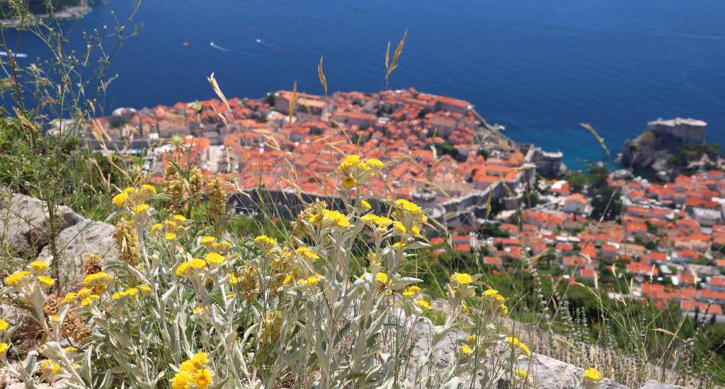 Bezienswaardigheden Dubrovnik: wat te doen in Dubrovnik? Bekijk alle tips | Mooistestedentrips.nl