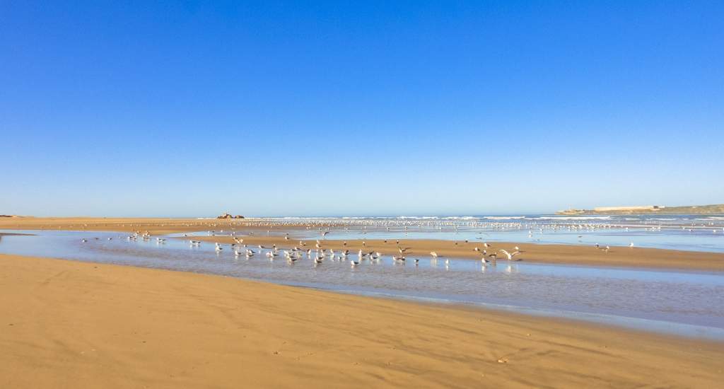 Bezienswaardigheden Essaouira: strand van Essaouira | Mooistestedentrips.nl