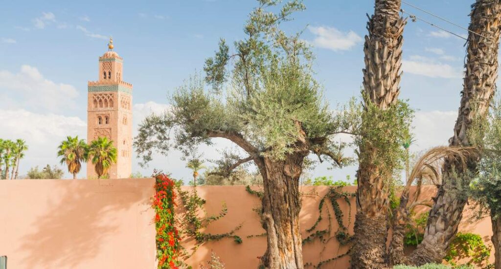 Koningssteden Marokko: Marrakech