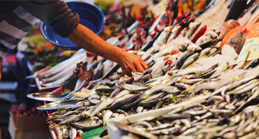 Hidden gems in Istanbul: Kadikoy fish market | Mooistestedentrips.nl