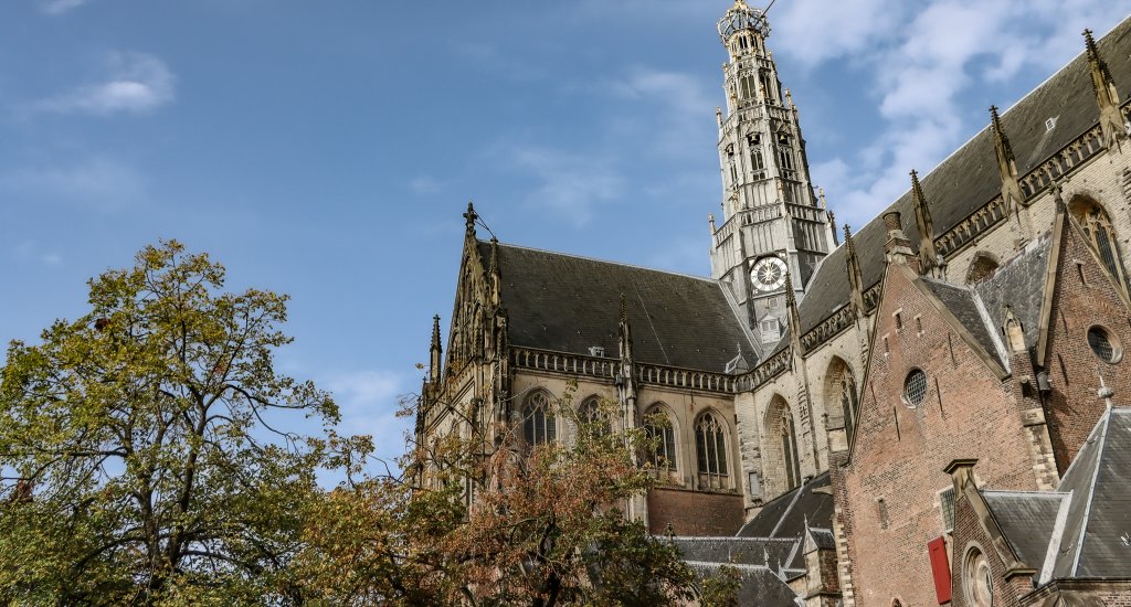 Bezienswaardigheden Haarlem: Sint Bavokerk | Mooistestedentrips.nl