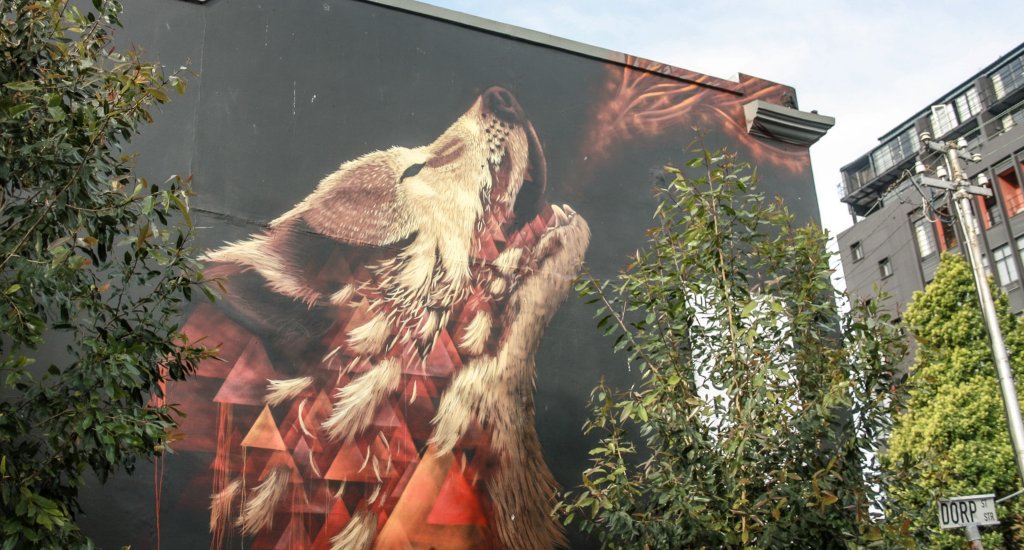 Street art in Kaapstad | Mooistestedentrips.nl