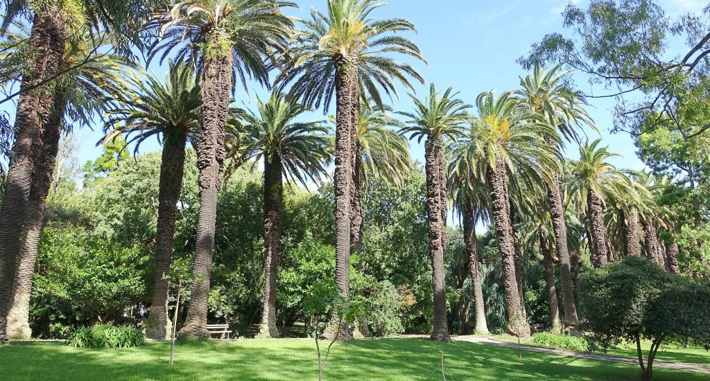 Bezienswaardigheden Lissabon, Jardim Botanico Tropical