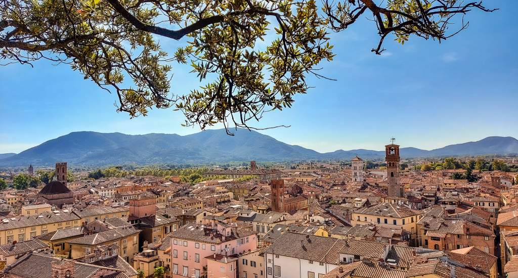 Lucca bezienswaardigheden: Torre Guinigi | Mooistestedentrips.nl