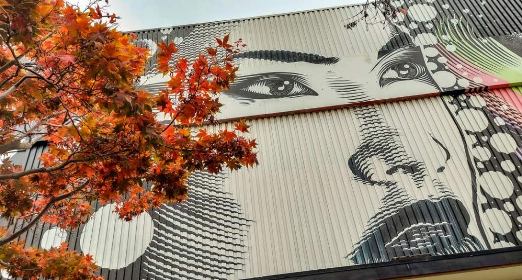 Heerlen, street art Heerlen. Ontdek de leukste bezienswaardigheden Heerlen | Mooistestedentrips.nl