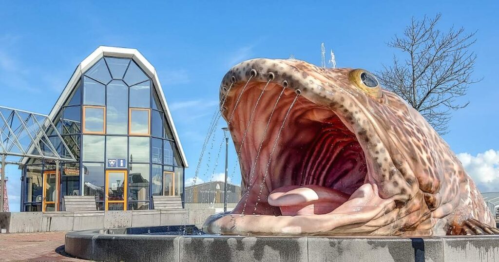 Stavoren, Friesland: 9x wat te doen in Stavoren