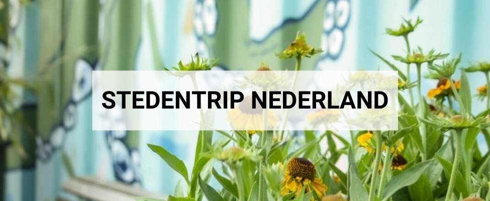 Stedentrip Nederland, de leukste stedentrips Nederland | Mooistestedentrips.nl