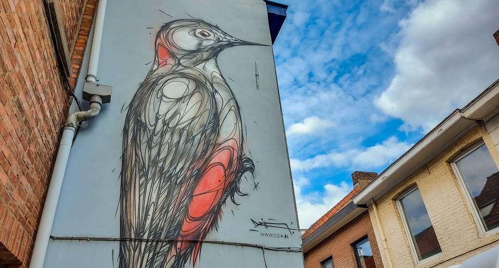 Street art Leuven: Dzia | Mooistestedentrips.nl