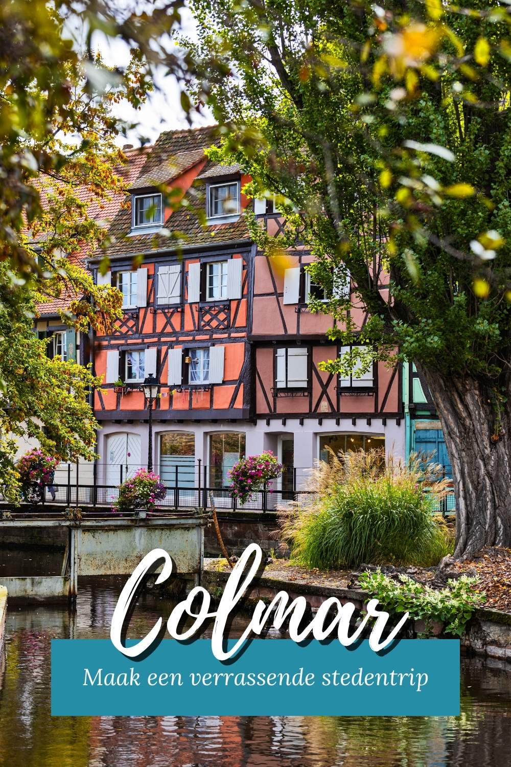 Stedentrip Colmar: tips voor een stedentrip Colmar | Mooistestedentrips.nl