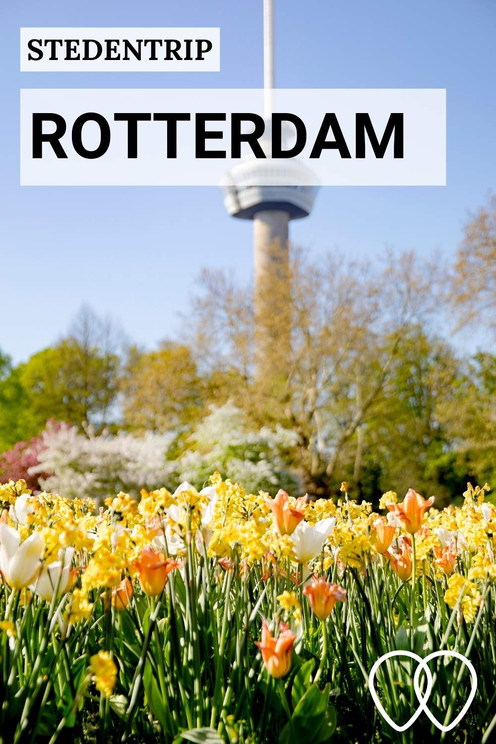Stedentrip Rotterdam: de leukste tips voor een weekendje Rotterdam (foto: Iris van den Broek) | Mooistestedentrips.nl