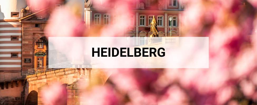 Stedentrip Heidelberg: de leukste tips voor een stedentrip Heidelberg | Mooistestedentrips.nl