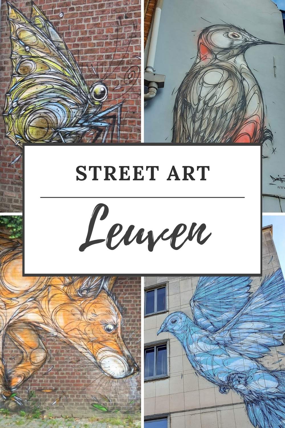 Street art Leuven: ontdek alle mooie street art in Leuven, België. Bekijk de tips | Mooistestedentrips.nl