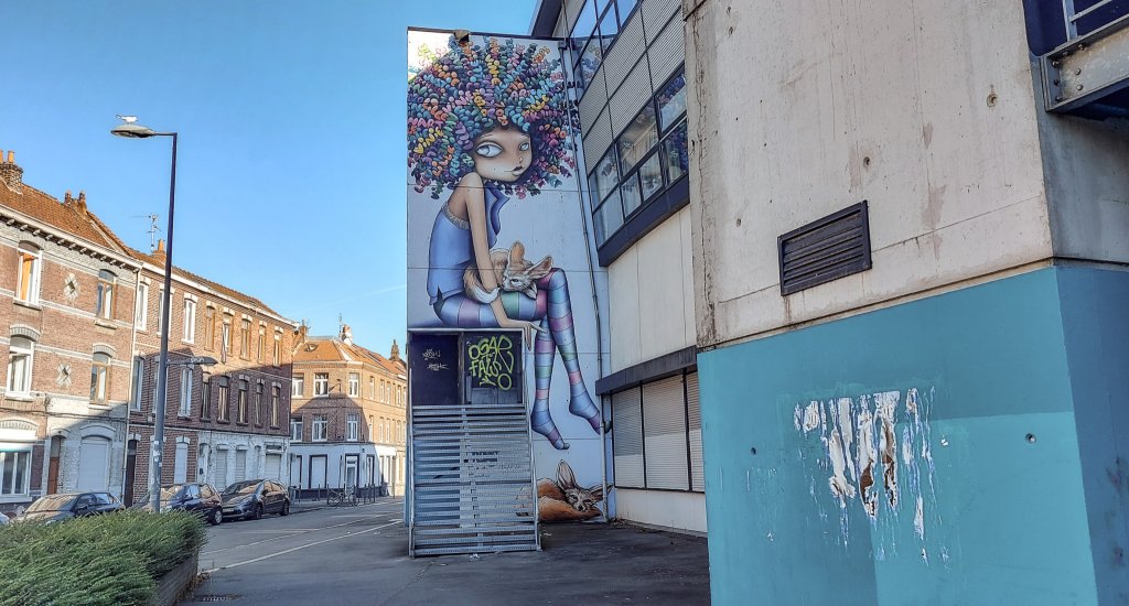 Street art Lille, ontdek de mooiste street art in Lille | Mooistestedentrips.nl