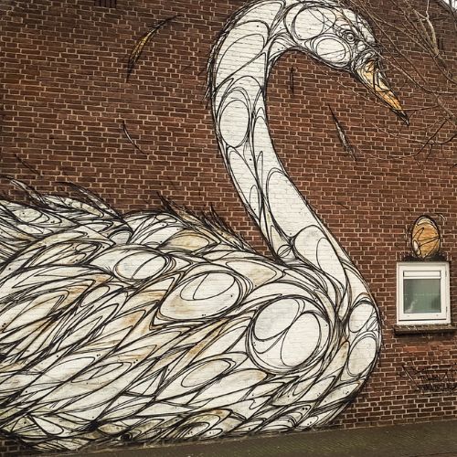 Instagram Mooistestedentrips.nl, street art in Breda (Dzia)