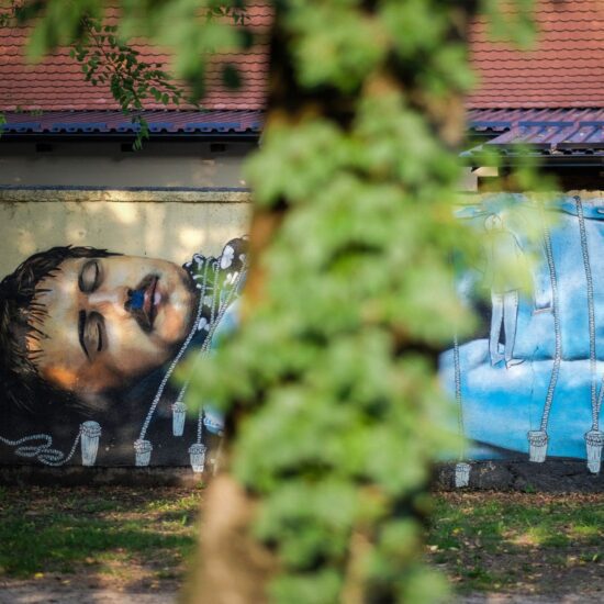Instagram Mooistestedentrips.nl | Street art Zagreb (foto: S. Kaštelan)