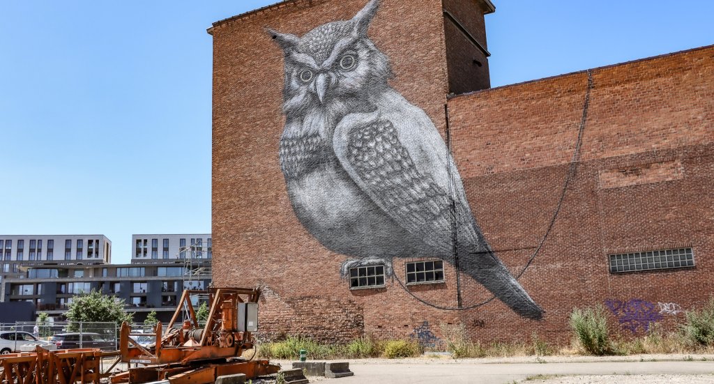 Street art Hasselt, België | Mooistestedentrips.nl