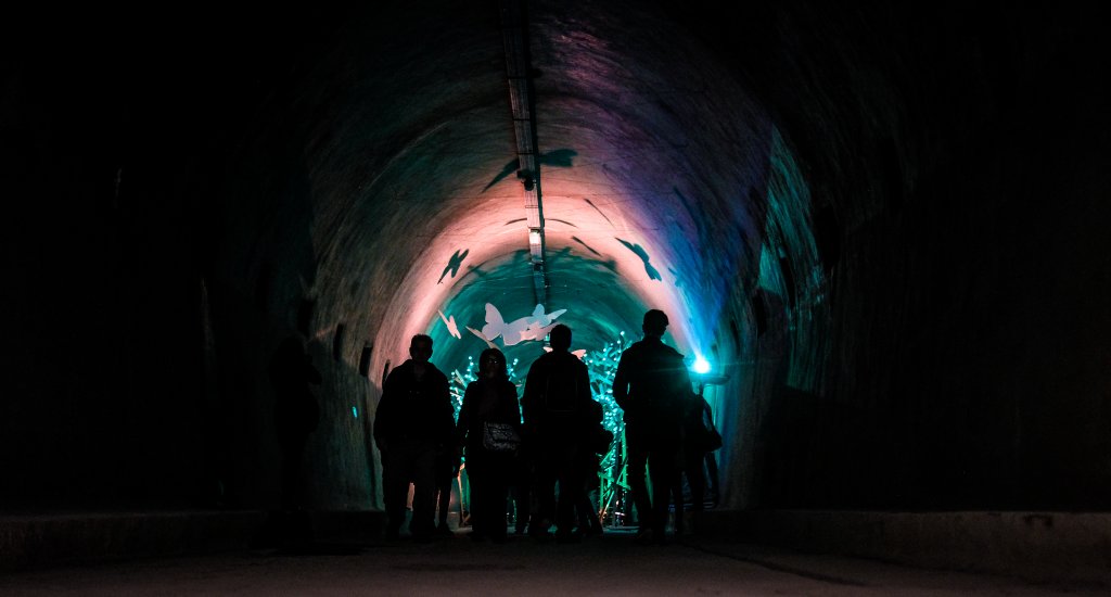 Fietsen in Zagreb, Grič Tunnel (Foto door S. Kaštelan) | Mooistestedenntrips.nl