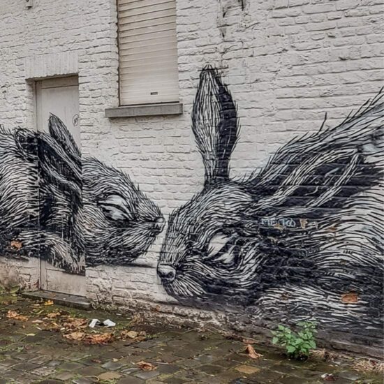 ROA Gent, street art Gent | Instagram, Mooistestedentrips.nl