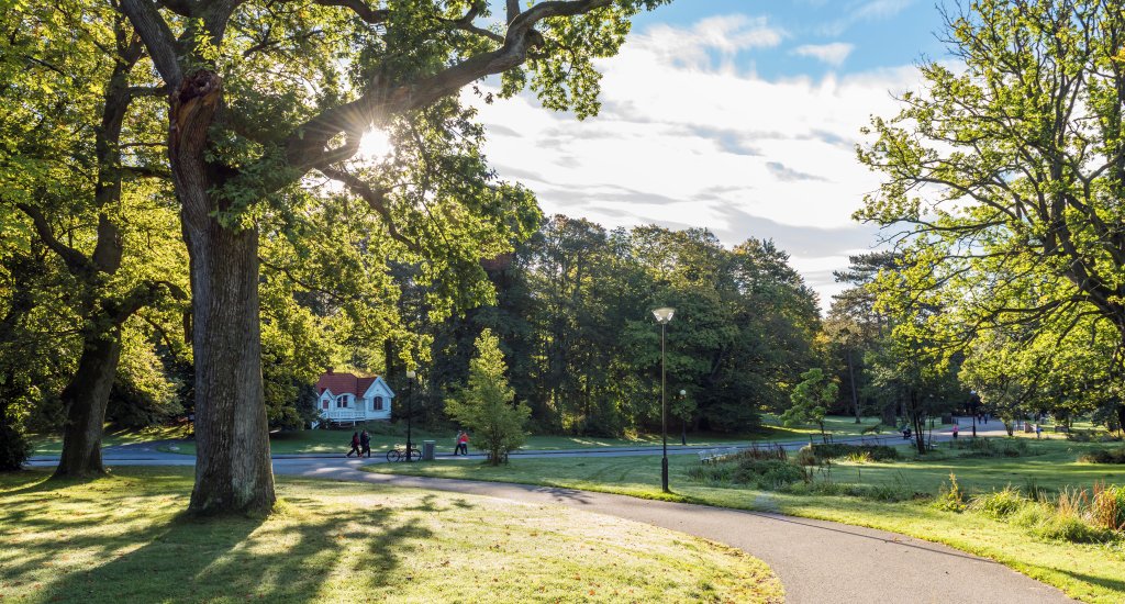 Slottsskogen Göteborg, foto: Steampipe Production Studio