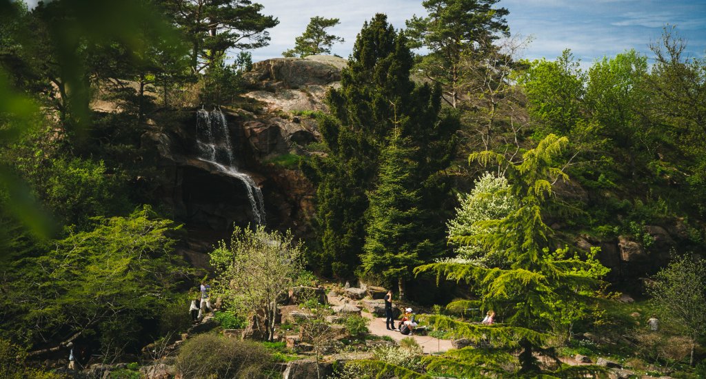 Botanische tuin van Göteborg, foto: Peter Kvarnström