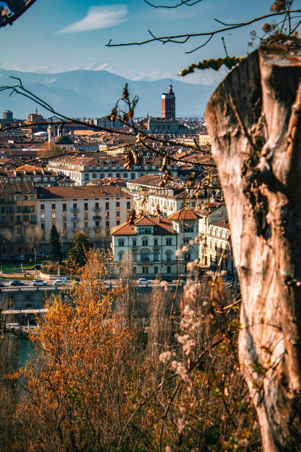 Stedentrip herfst: Turijn (foto: Jasmin Börsig/ Pexels)