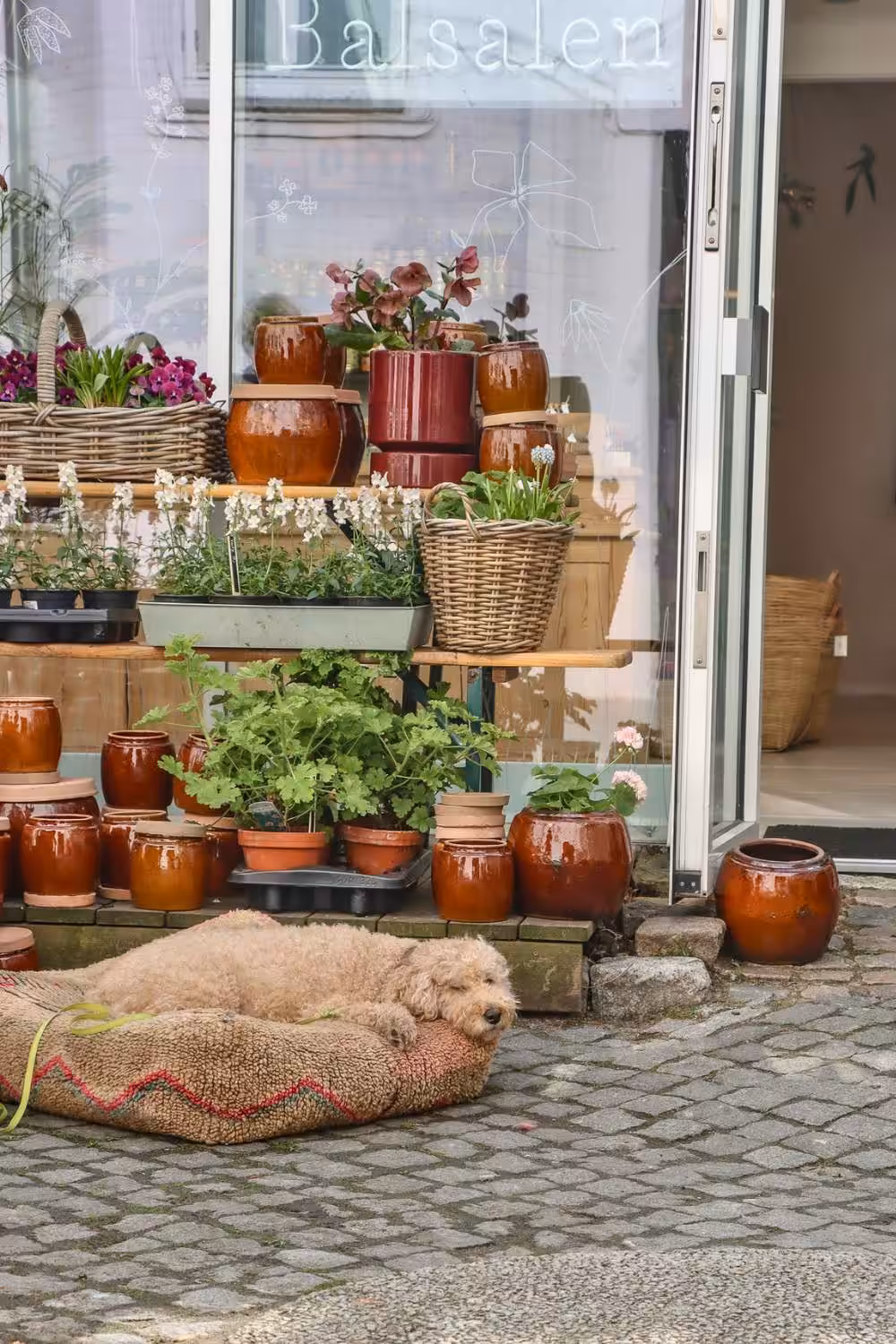 Bezienswaardigheden Aarhus: Latinerkvarteret | Mooistestedentrips.nl
