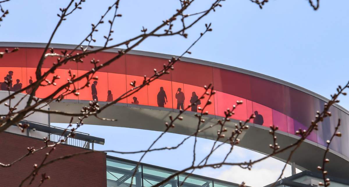 Bezienswaardigheden Aarhus: ARoS Aarhus Kunstmuseum | Mooistestedentrips.nl