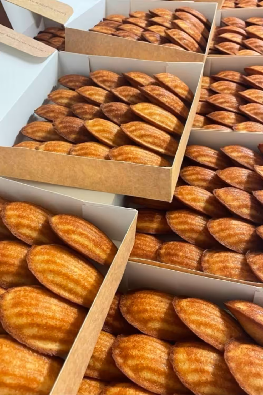Foto met dank aan Les Madeleines de Christophe