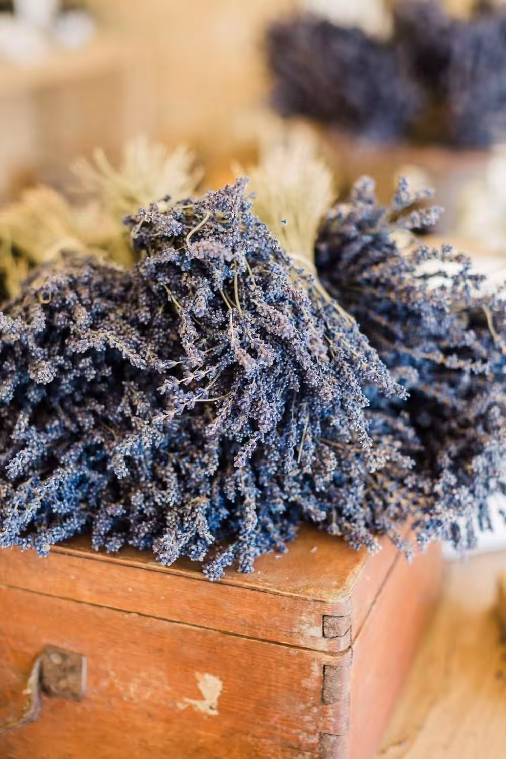 Lavendel Aix-en-Provence, foto met dank aan Terre Ugo